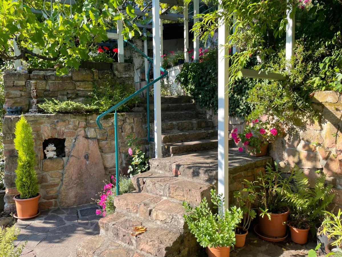 Am Berggarten Heidelberg Exteriér fotografie