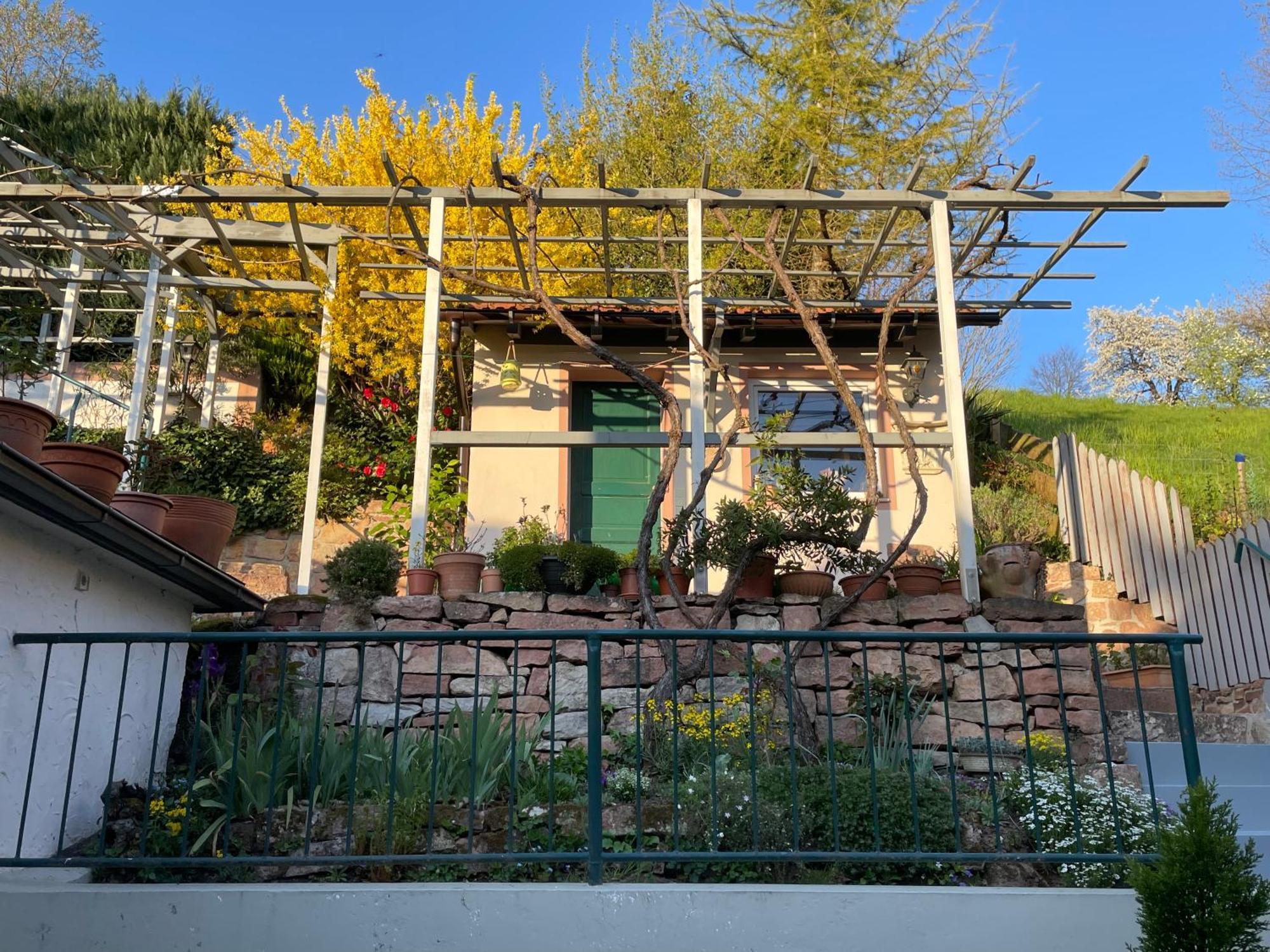 Am Berggarten Heidelberg Exteriér fotografie