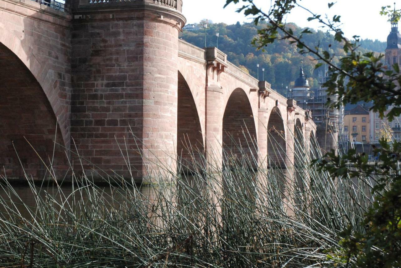 Am Berggarten Heidelberg Exteriér fotografie