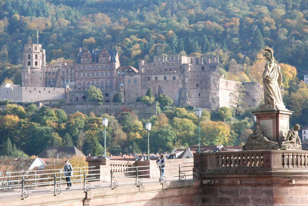Am Berggarten Heidelberg Exteriér fotografie