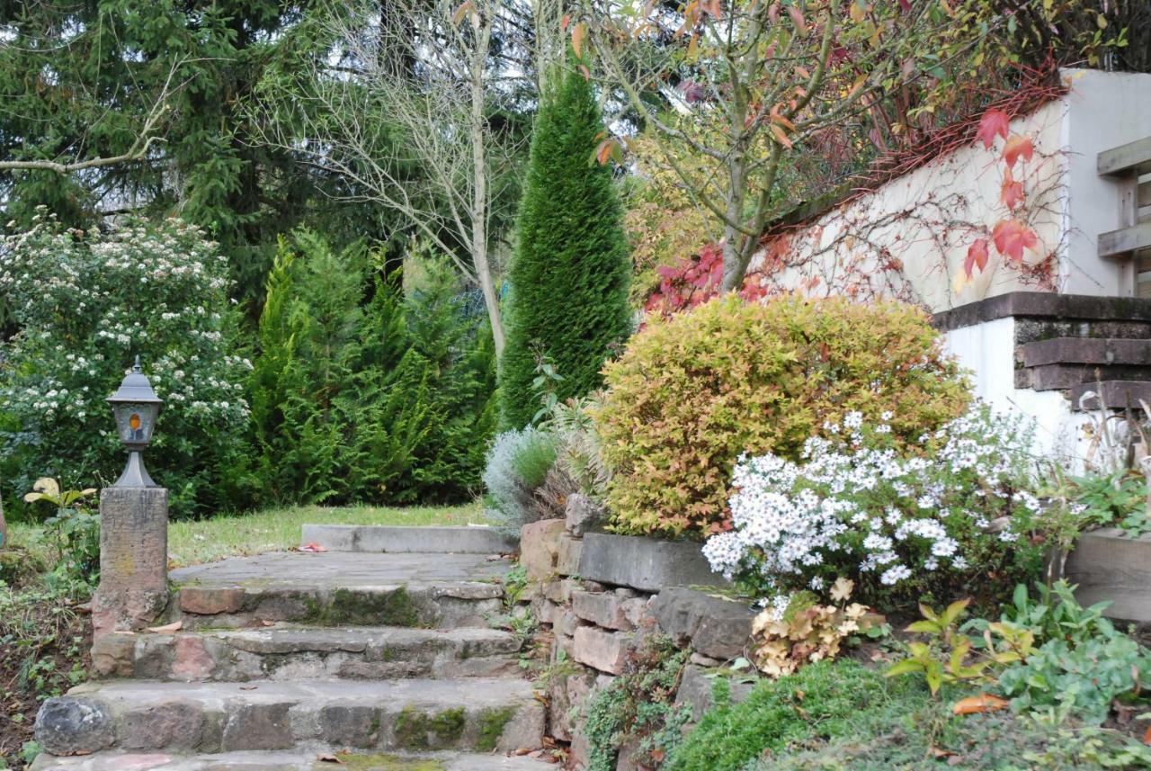Am Berggarten Heidelberg Exteriér fotografie